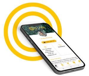 Imagen Descarga App d-uñas